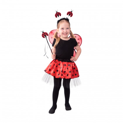Children costume - ladybug