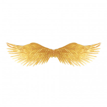 the gold wings
