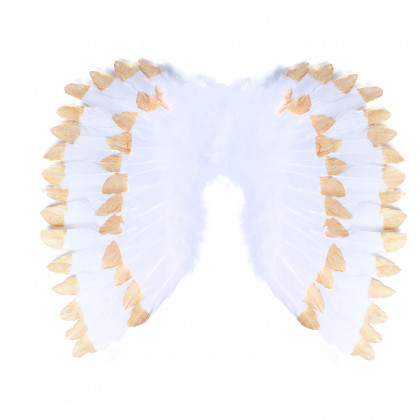 the Angel wings with feathers white-gold