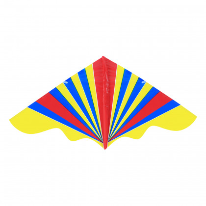 Flying kite 120 x 61 cm