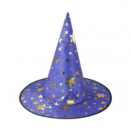 the witch/halloween hat
