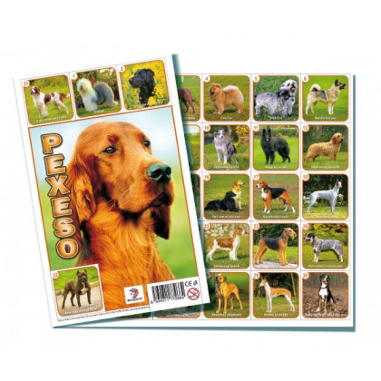 the pexeso pairs memory game, dogs