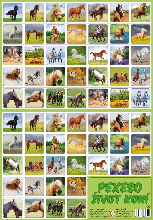 the pexeso memory game - the horse