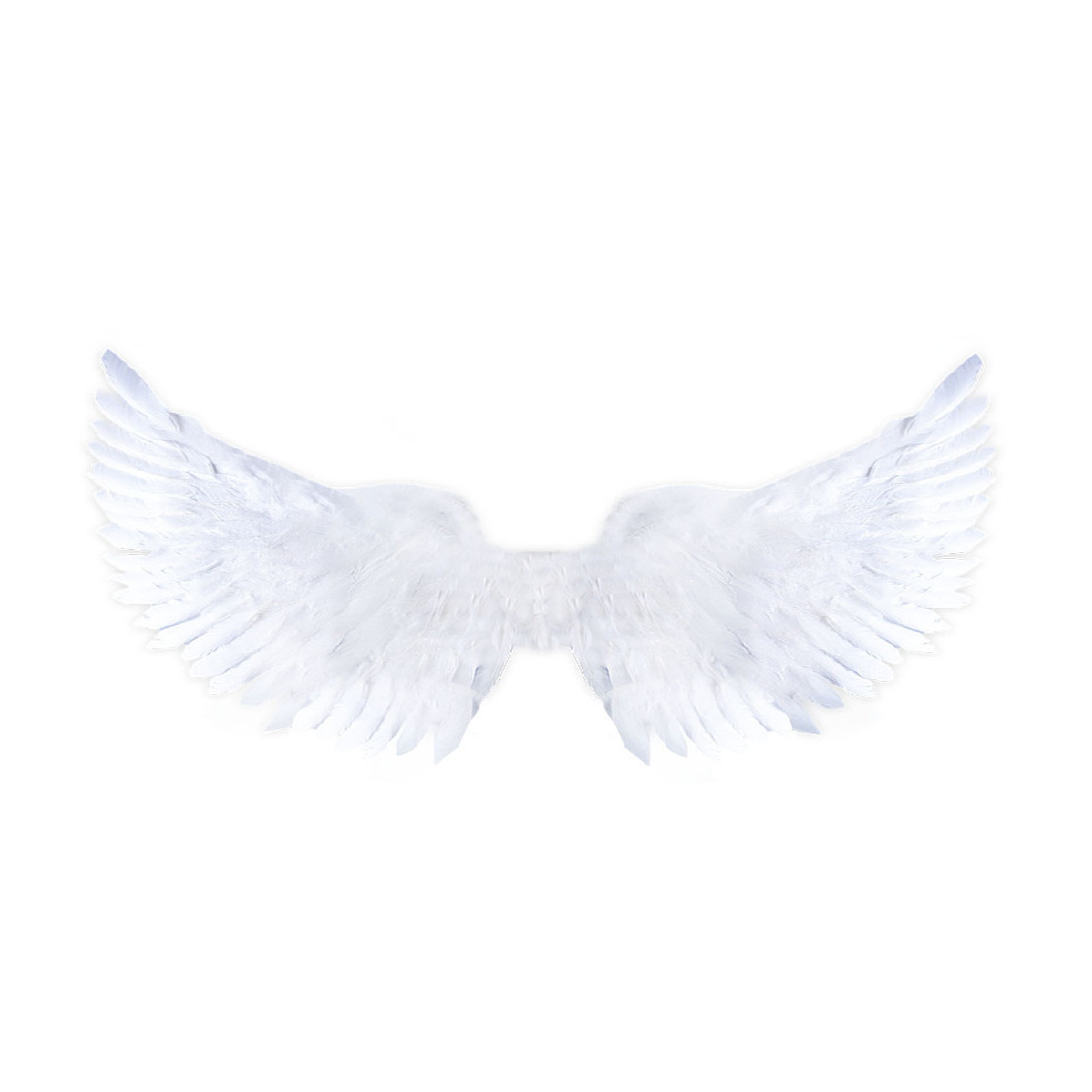 the wings white glittering