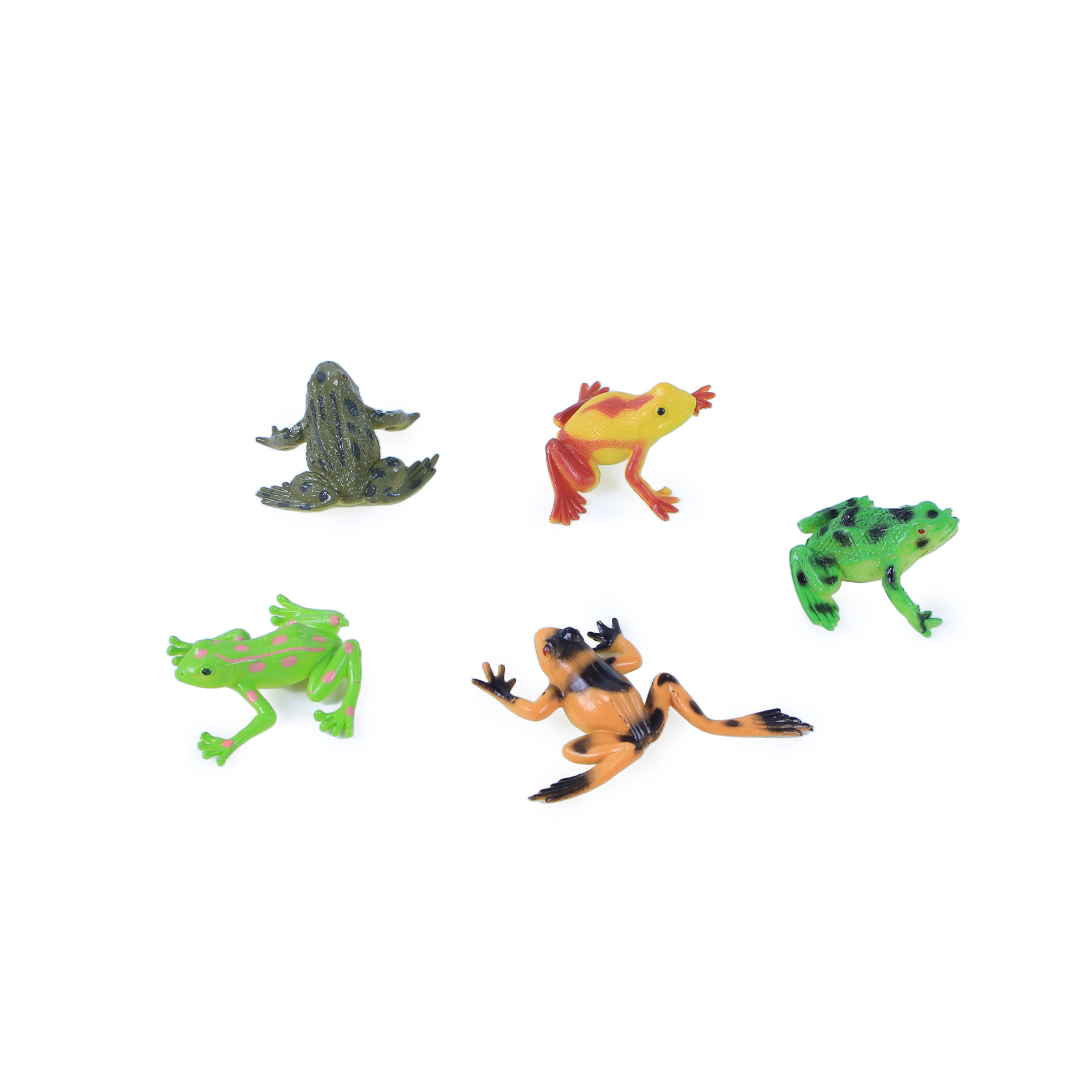the frogs, 5 pieces