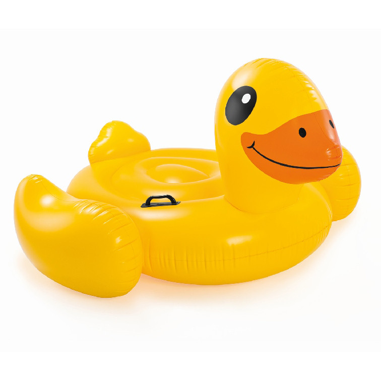 the inflatable duck seat