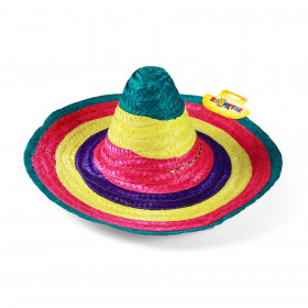 the sombrero hat