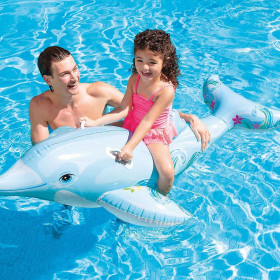 the inflatable float dolphin