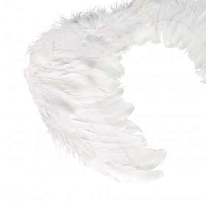 the angel wings with feathers