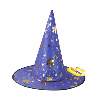 the witch/halloween hat