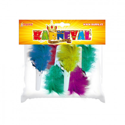 the feather party blowouts,6pcs in a bag