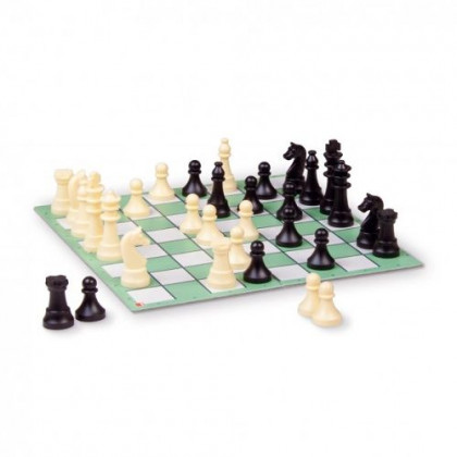 Chess travel game