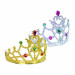 the crown for a princess